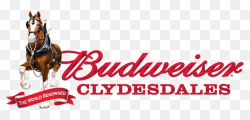 Budweiser Clydesdales Coming To Fort Myers - Beer Logo png