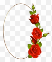 Oval Frame Rose Flower Borders For Paper - Love Kiss Red Photo Hd png