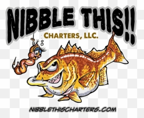 Smallmouth Bass Fishing Charter - Nibble This Charters Fish Png,Bass Fish Logo