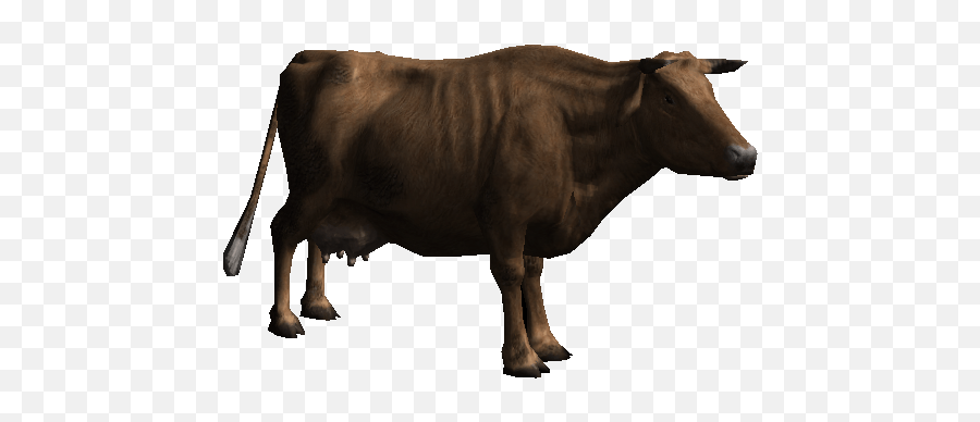Download Cow Png Image Hq - Ox Png,Cattle Png