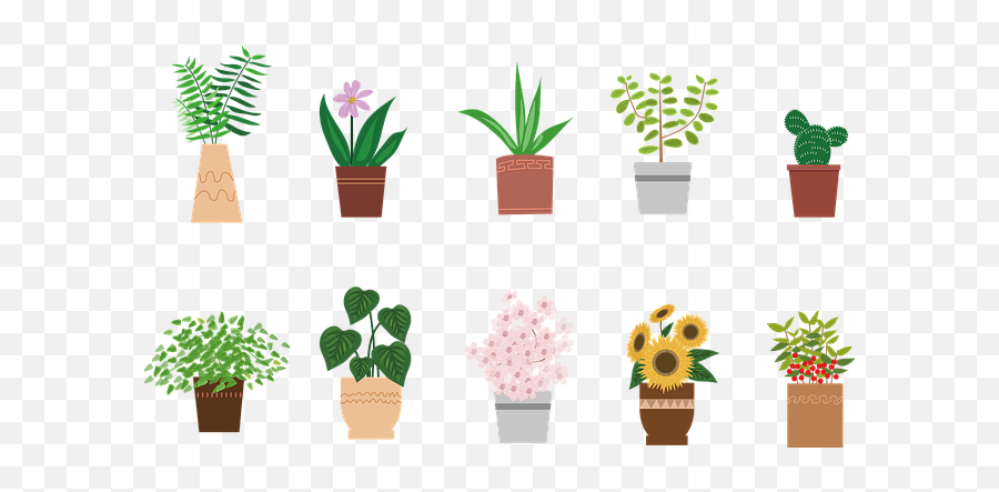 Potted Plant Flowers Plants - Flowerpot Png,Potted Plant Png
