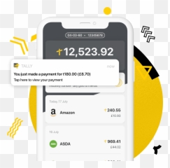 Tally Payments - Smartphone png