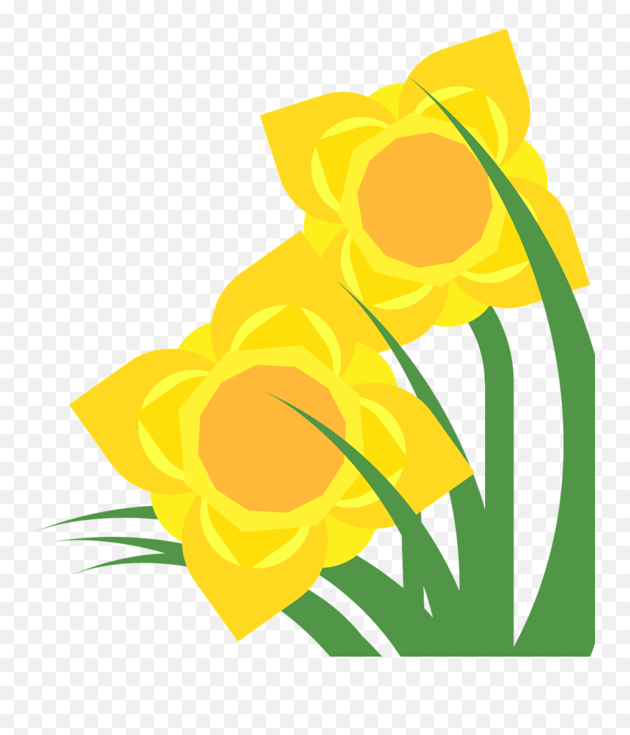 Clipart Daffodil Narcissus Spring Flower Plant - Flower Flower Spring Clipart Green Yellow Png,Green And Yellow Flower Logo