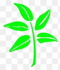 Leaf Silhouette Clip Art - Neem Christmas Green png