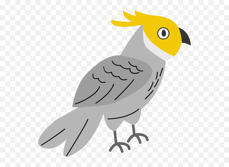 Free Online Bird Animal Icon Sign - Pet Birds Png,Cockatiel Icon