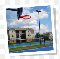 The Bryn Student Apartments Near Penn State - Basketball Rim png