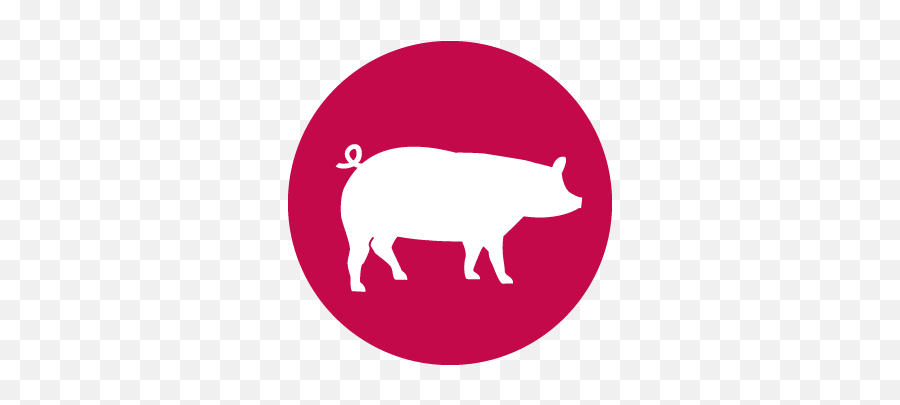You - Whitechapel Station Png,Free Pig Icon