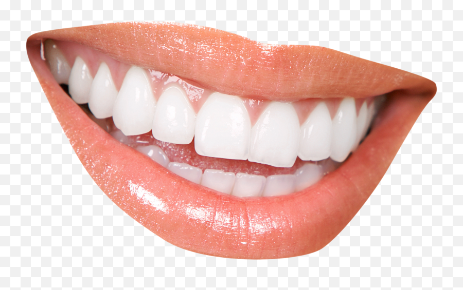 15 Smile Teeth Png For Free Download - Teeth Png,Smiling Mouth Png