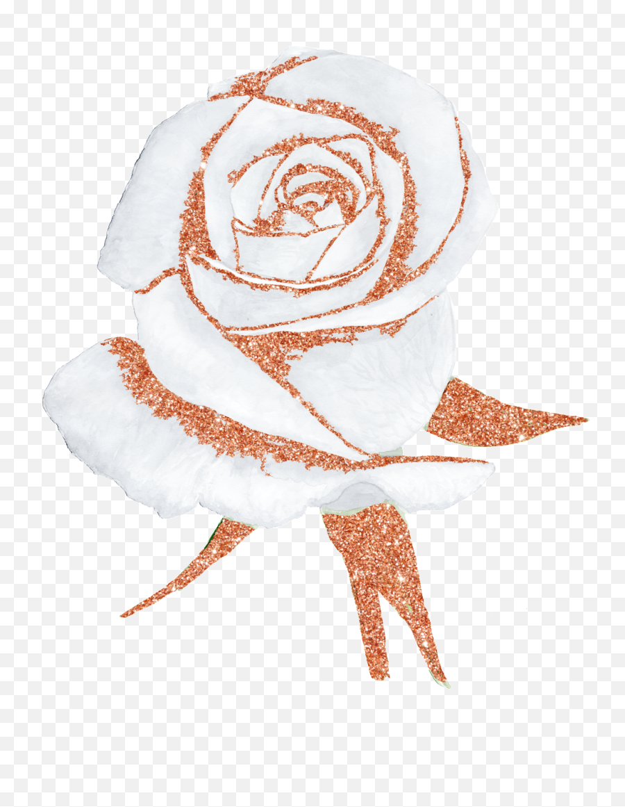 Download Hand Painted A White Rose Png Transparent Free - Rose Gold Flower Png,White Rose Png