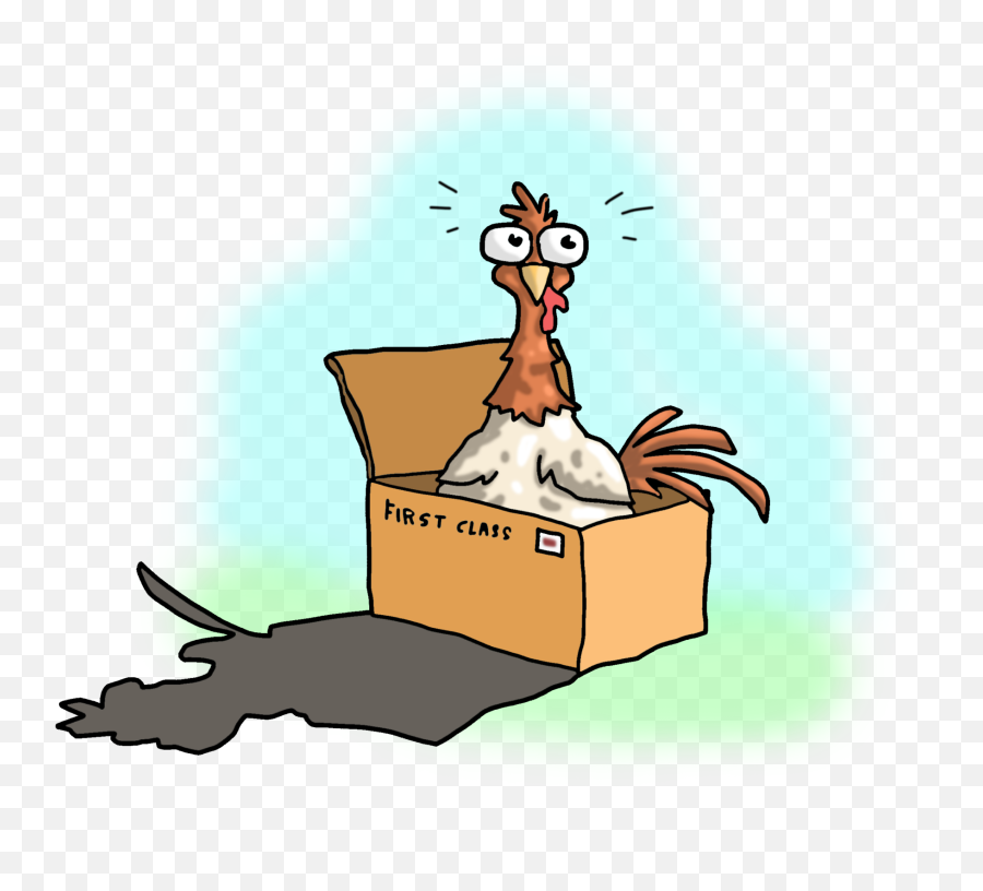 Download Live Baby Chickens - Cartoon Png,Baby Chicks Png