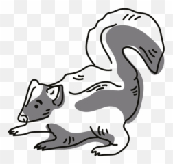 Skunk Graphics To Download - Animal Figure png