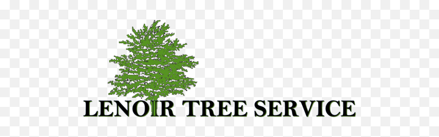 Home - Lenoir Tree Service Language Png,Tree Removal Icon