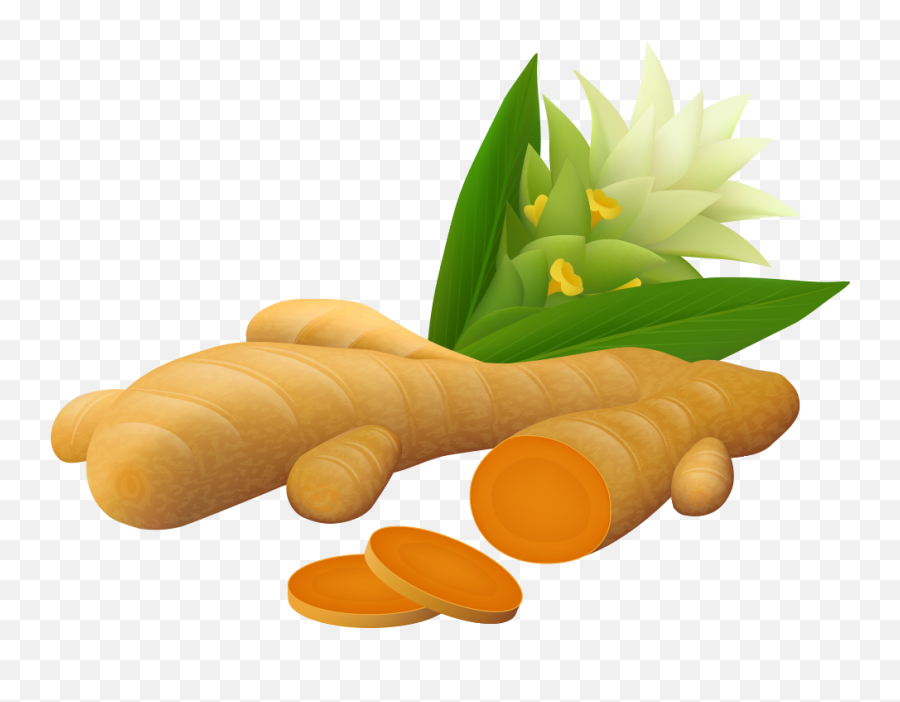 Ginger Vector Spice Picture - Turmeric Vector Png,Turmeric Png