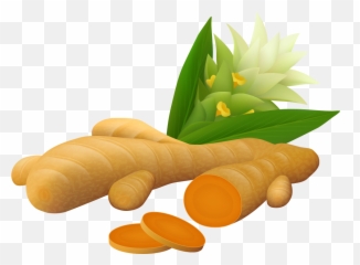 Ginger Vector Spice Picture - Turmeric Vector Png,Turmeric Png