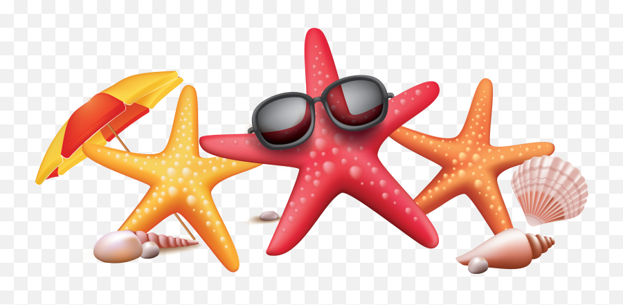 Vector Color Seaside Starfish - Vector Star Fish Png,Sunglasses Vector Png