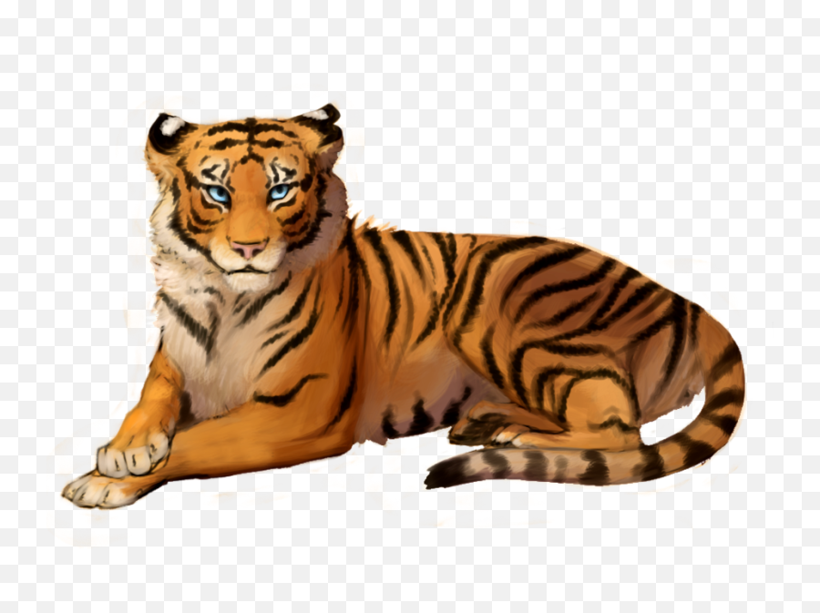 Sitting Tiger Png Transparent Picture Free - Tiger Photo Background Hd,Tiger Png
