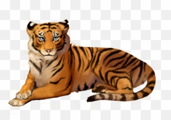 Sitting Tiger Png Transparent Picture Free - Tiger Photo Background Hd,Tiger Png