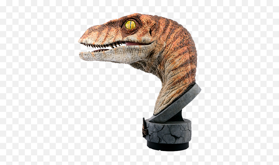 Male Raptor Bust Jurassic Park Lost World Raptor Bust Png Velociraptor Png Free Transparent Png Images Pngaaa Com - lost in the jurassic roblox