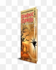 Download Hd Cobwebs - Note Cards Pk Of 20 Transparent Png Halloween Spider,Cobwebs Png
