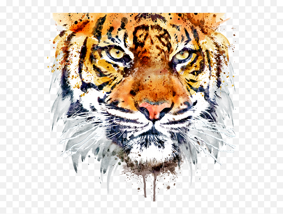 Tiger Face Png Image Hd Transparent - Close Up Tiger Face,Tiger Face Png