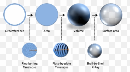 Index Of Imagescalculuscourselesson3 - Circle png