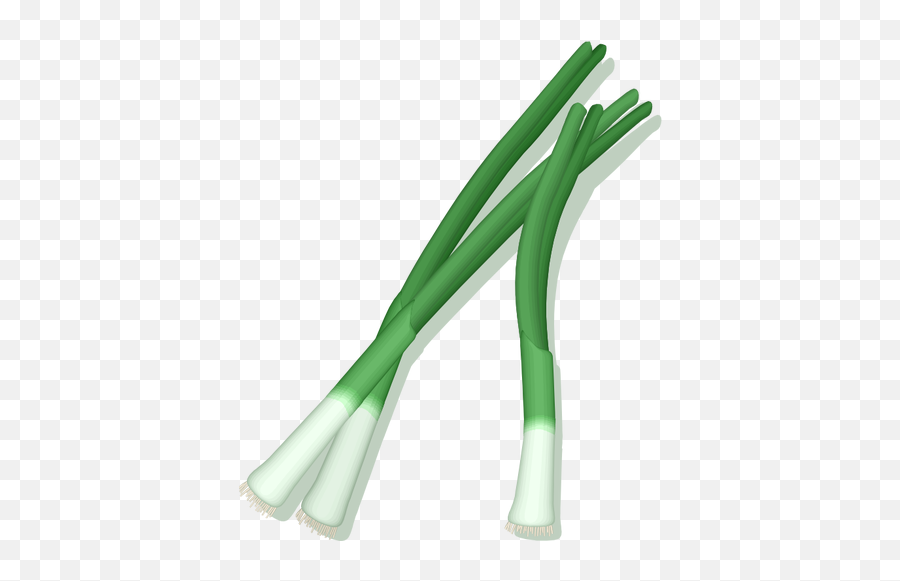 Green Onions Free Svg - Green Onion Vector Png,Onion Transparent Background