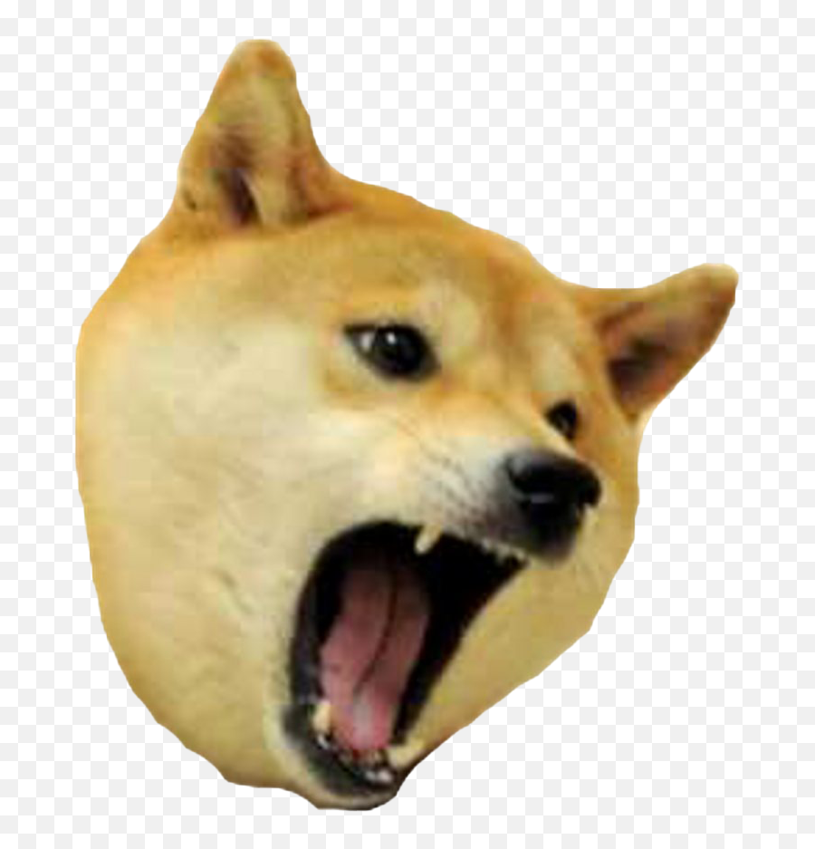 Doge Meme Png Picture - Doge Meme Png,Doge Png