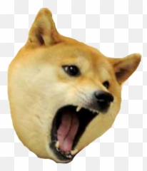 Doge Meme Png Picture - Doge Meme Png,Doge Png