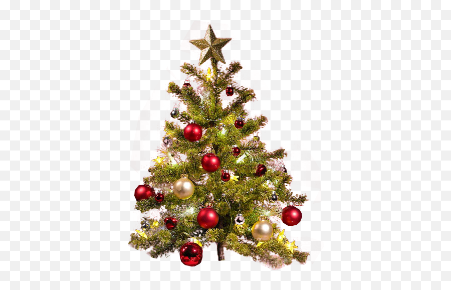 Small Christmas Tree Transparent Backgro 950949 - Png Transparent Christmas Tree Png Hd,Trees Background Png