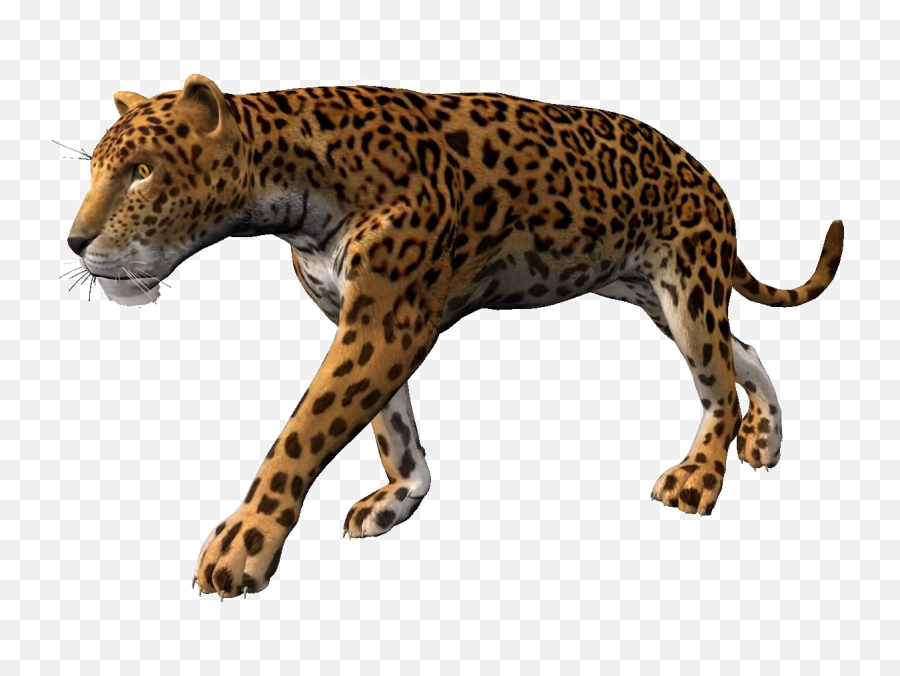Download Walking Leopard Png Pic - Free Png Alpha Channel,Leopard Png