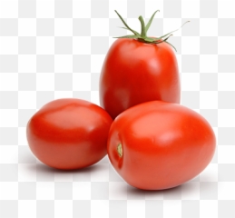 Roma Tomato - Plum png