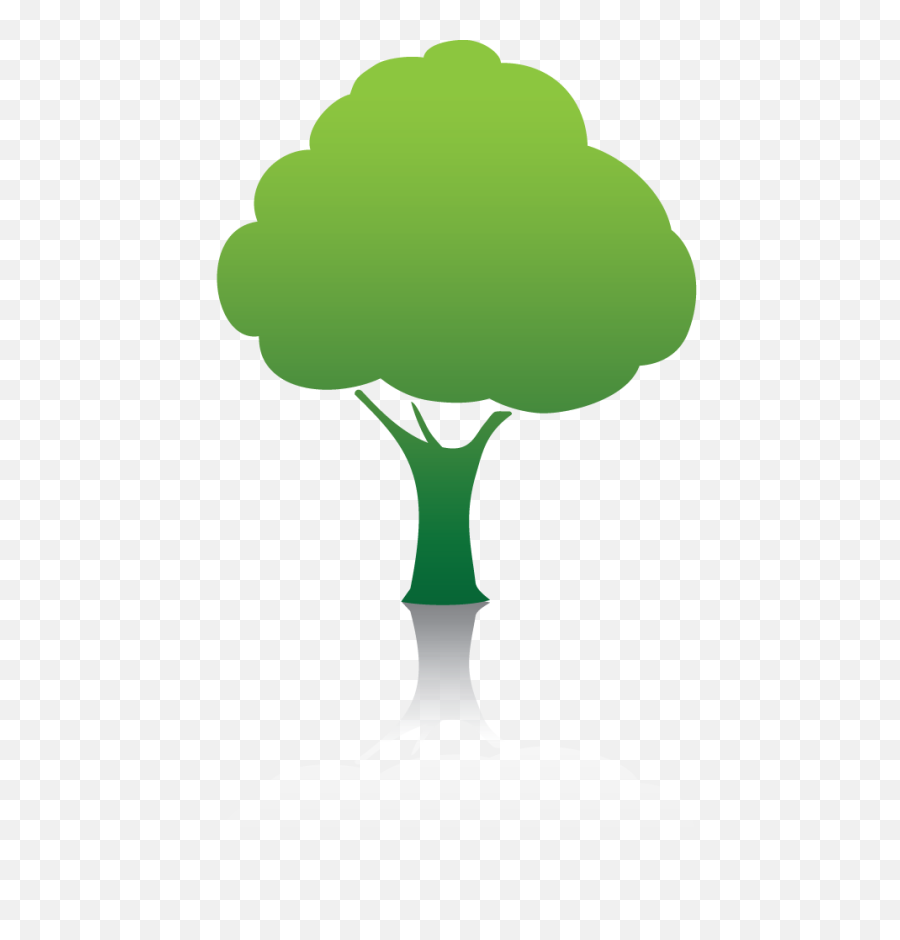 Forest Files Free 7100 - Free Icons And Png Backgrounds Environmental Tree Icon,Forest Tree Png