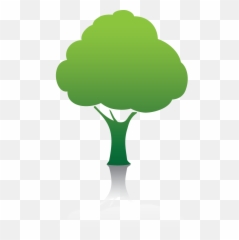 Forest Files Free 7100 - Free Icons And Png Backgrounds Environmental Tree Icon,Forest Tree Png