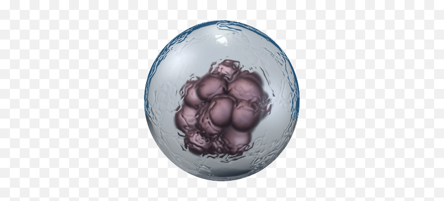 Stem Cells - Embryonic Stem Cells Png,Cell Png