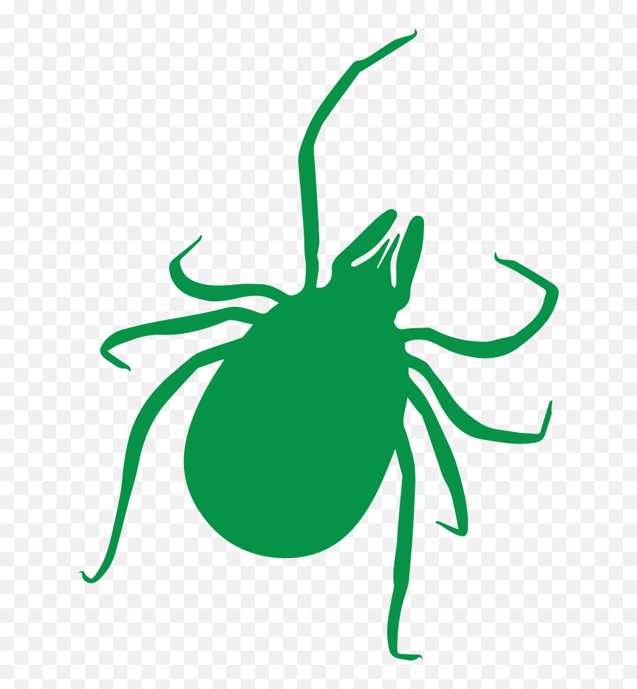 Green Checkmark Png - Tick,Green Checkmark Transparent Background