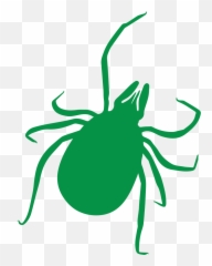 Green Checkmark Png - Tick