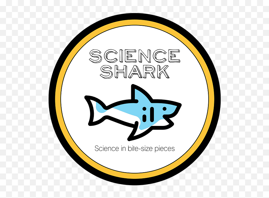 Blog Home Accueil - Fish Png,Shark Logo Png