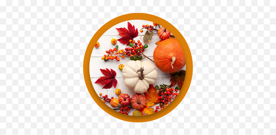 Everything Png Thanksgiving Pumpkin