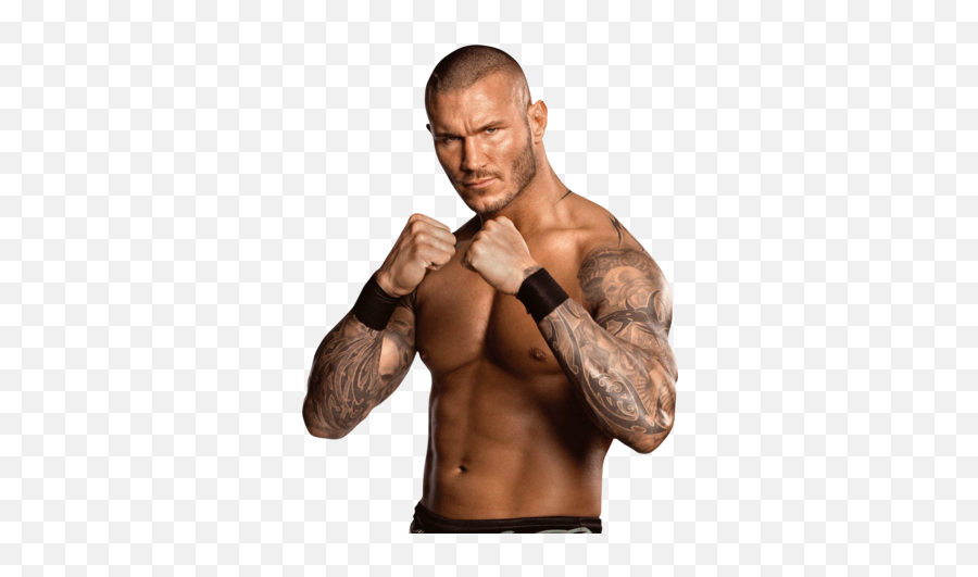 Randy Orton Universe Of Smash Bros Lawl Wiki Fandom - Randy Orton Full Body Png,Randy Orton Png