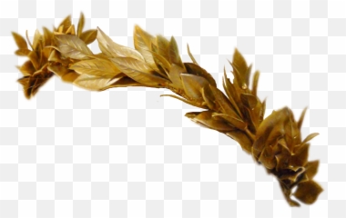 Report Abuse - Gold Flower Crown Png Full Size PNG