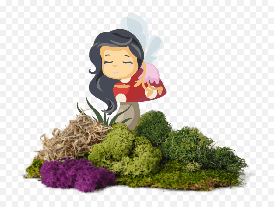 Fairy Garden Moss Information Gardening Australia - Fictional Character Png,Spanish Moss Png