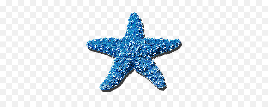 Starfish - Blue Sea Star Png,Starfish Transparent