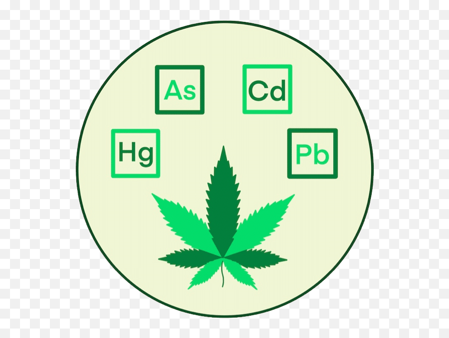 Services - Hemp Png,Solvent Icon