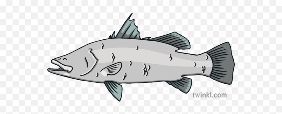 Barramundi Asian Bass Fish - Barramundi Fish Barramundi Cartoon Png,Bass Fish Icon