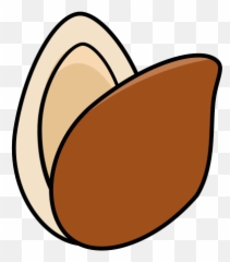 Pine Nut Vector Icons Free Download In - Language png