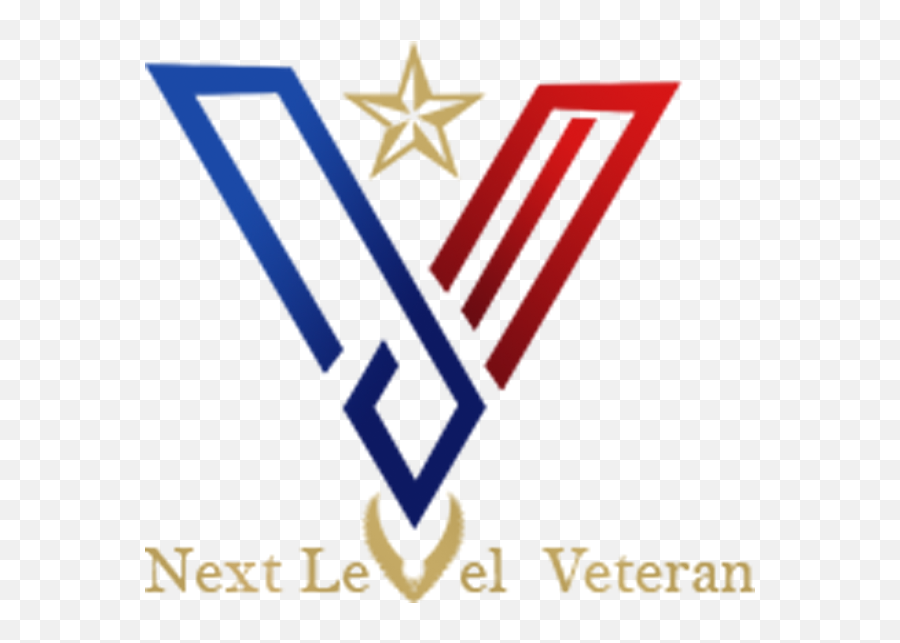 Transition From Military To Civilian - Gaming Letter V Logo Png,Civilian Icon