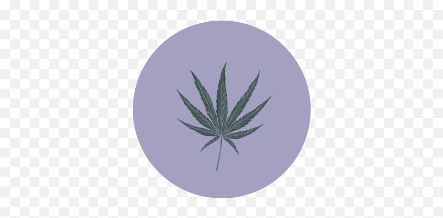 Freakshow - Humboldt Seed Company Language Png,Marijuana Bud Icon