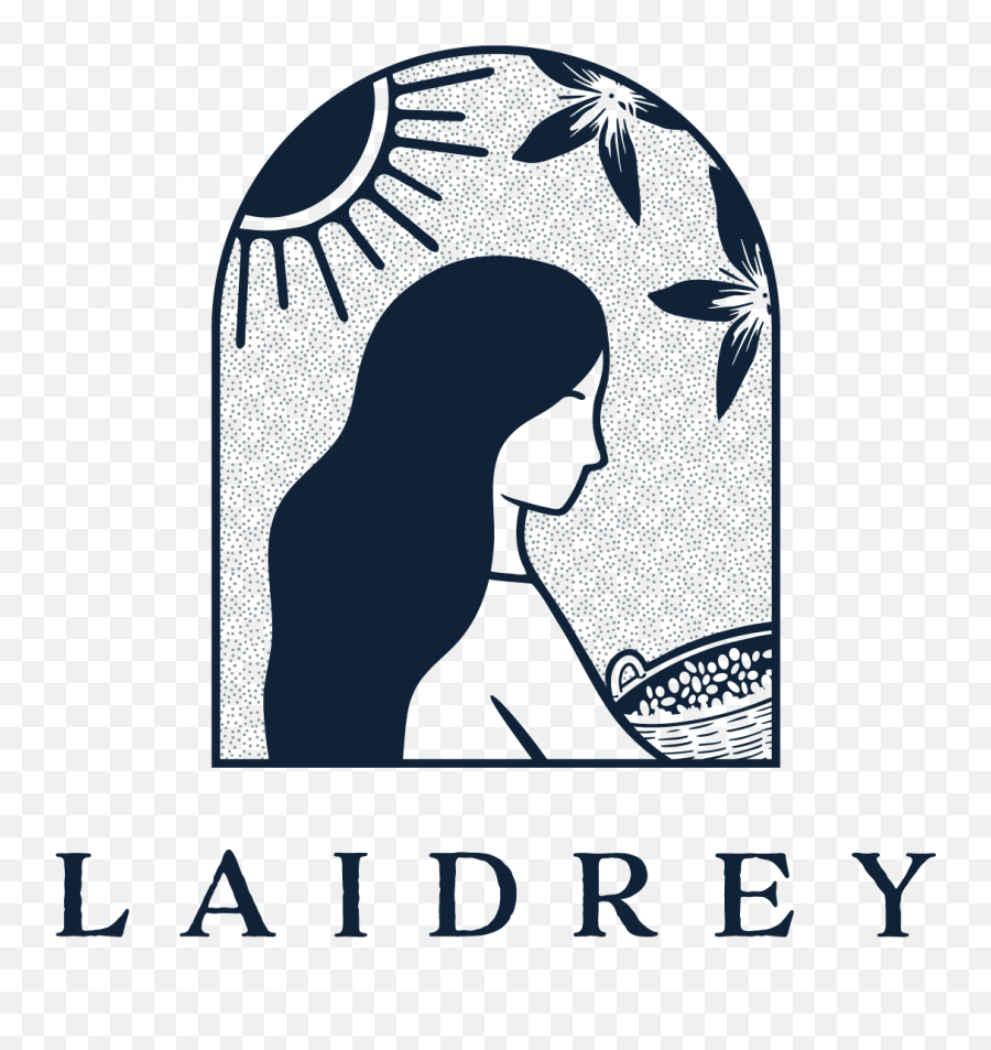 The Beginnings U2013 Laidrey - Laidrey Png,Rey Icon