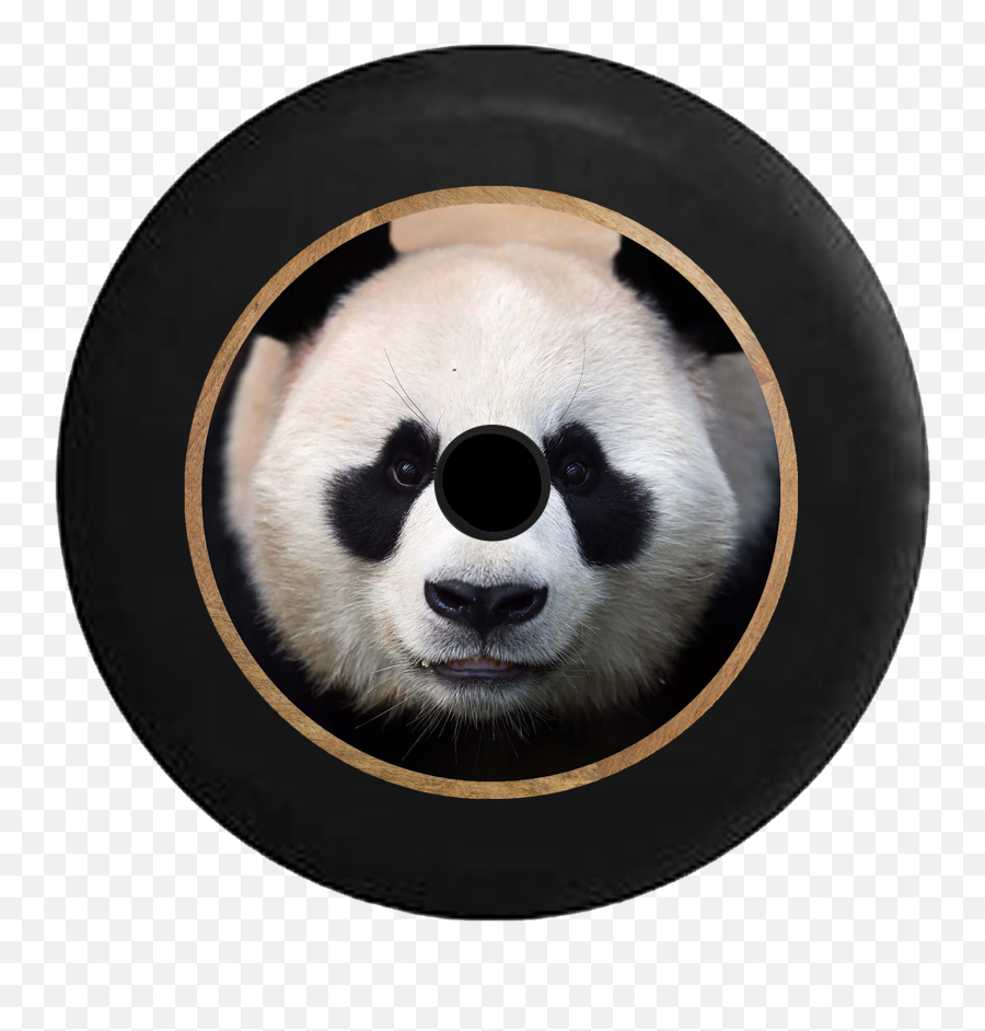 Jeep Wrangler Jl Backup Camera Cute Panda Staring Back - Panda Face High Resolution Png,Cute Panda Png