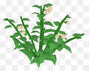 Berry Bush Png Transparent Bushpng Images Pluspng - Clip Art,Ivy Png